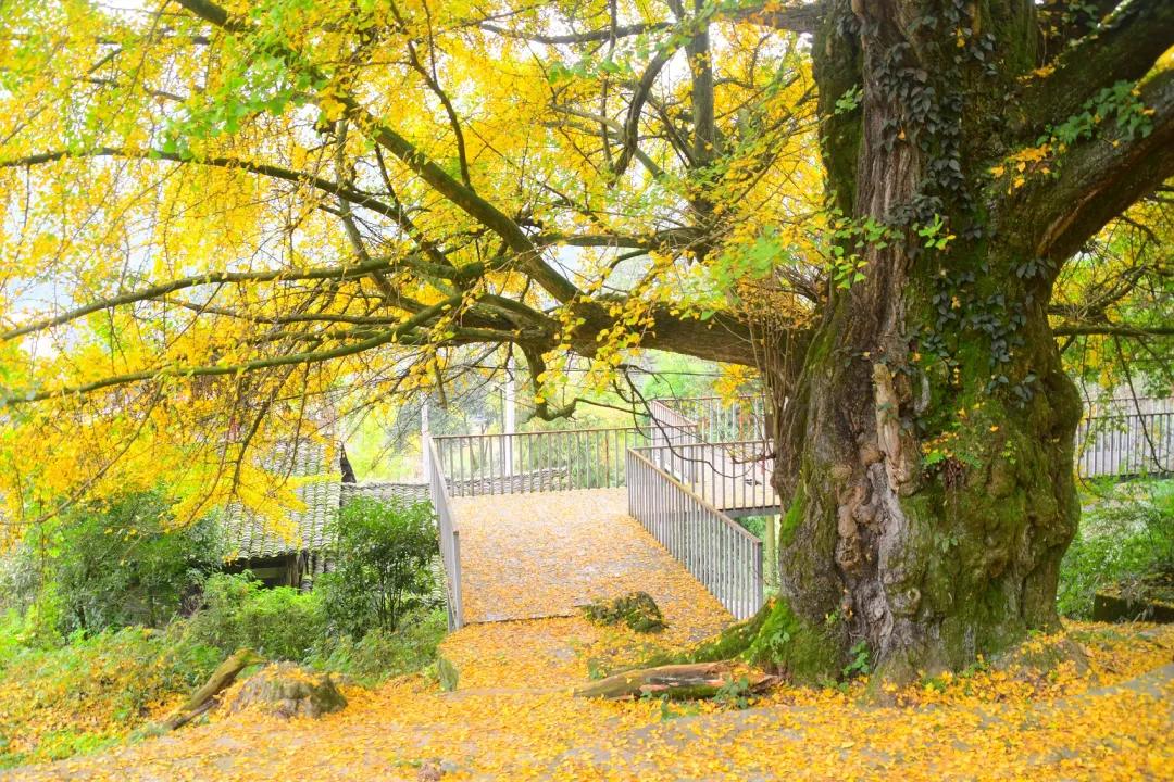 爱上哈尔滨的n个理由,爱上呼市的n个理由