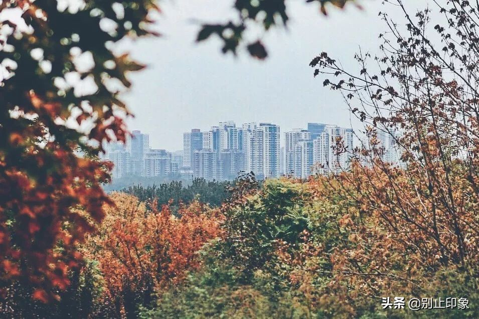 手机摄影构图大全公众号,手机摄影构图取景技巧