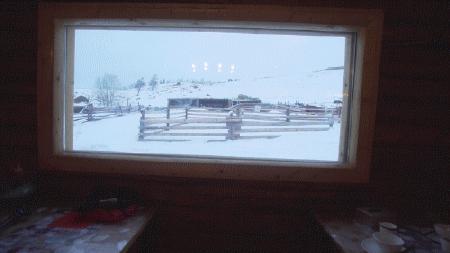 鍫瘮鐟炲+鐨勪腑鍥芥粦闆満,濯茬編鐟炲+