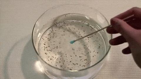 水往高处倒着流,水往高处虹吸