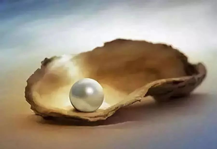 智慧美丽的珍珠皇后芬兰访谈——从向外到向内，活出精彩人生