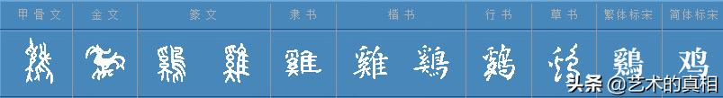 十二生肖中的象形字的演变,十二生肖字的演变