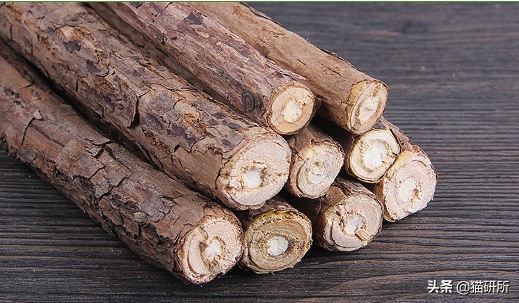 猫咪省钱好物维生素,猫咪必买的10种单品