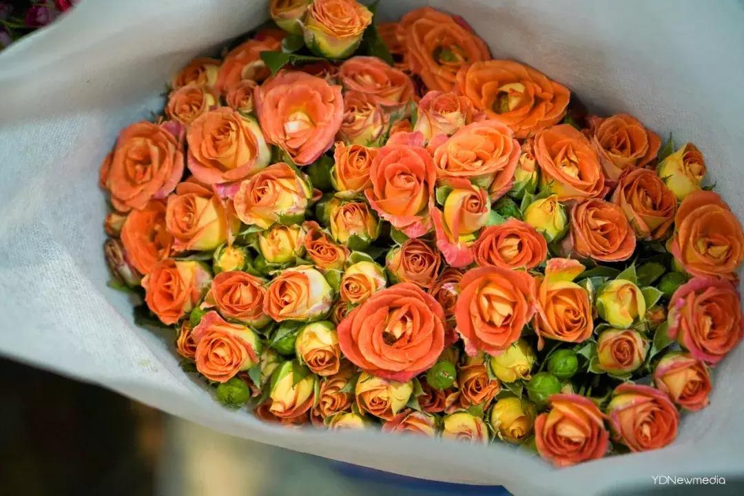 武汉哪个市场鲜花最便宜,武汉最便宜的鲜花批发市场