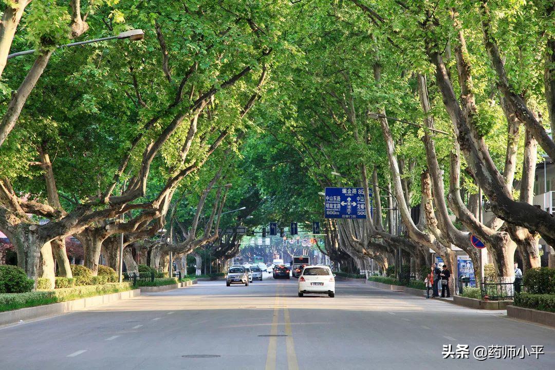 漫天飞絮的防治方法,漫天飞絮处理方法