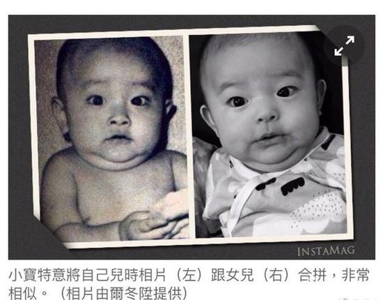 明星丁克家庭的夫妻有哪些,丁克一族的香港明星夫妻