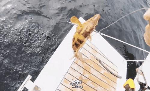 在死海沉浮，探秘无人岛，真正的航海生活比书里精彩一百倍