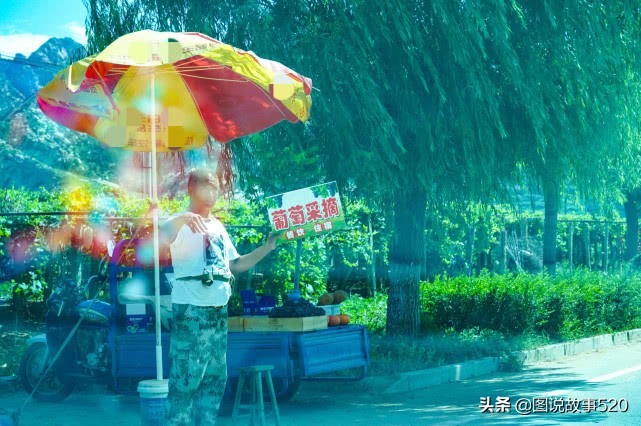 河北葡萄县,名气没*疆新**吐鲁番大,村民自称中国30%干红酒出自这