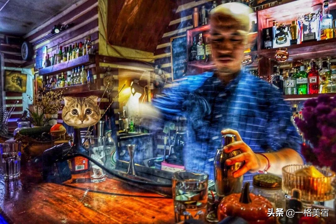 鼓浪屿吃喝,鼓浪屿在哪吃不被坑