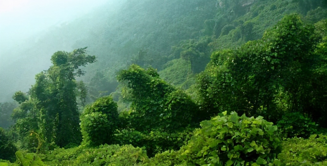 石家庄市滹沱河生态旅游景区,石家庄5a旅游景区名单最新