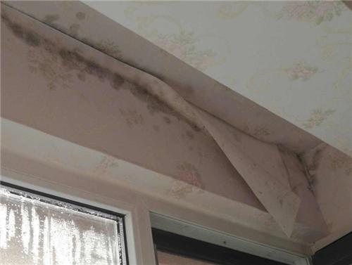 房顶漏水是做防水还是搭彩钢瓦好,房顶漏水怎么贴自粘防水卷材