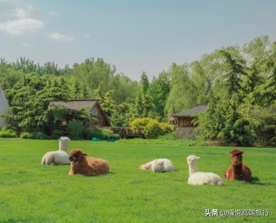 深秋温泉哪里最好,深秋泡温泉好处