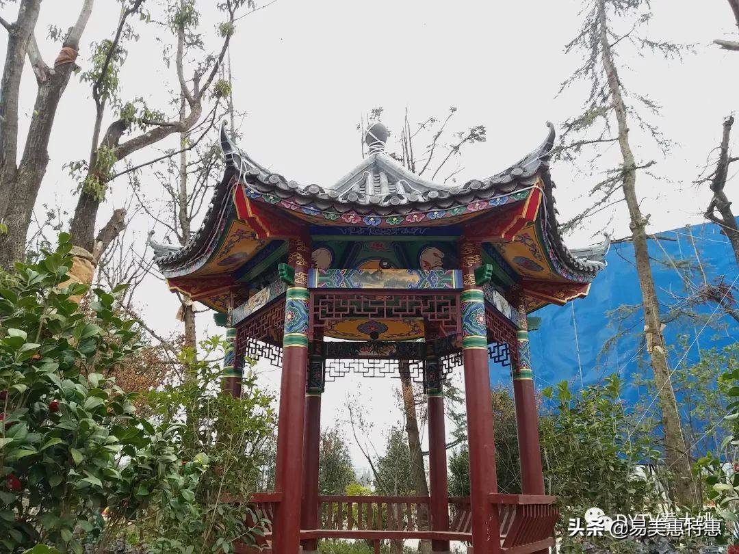 大姚县健身,大姚县西河森林运动公园