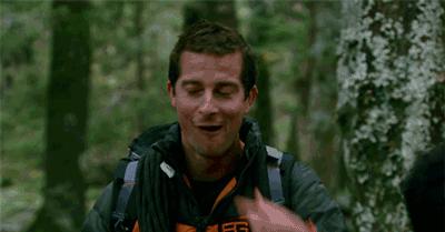 恶魔手指,恶魔之手真菌