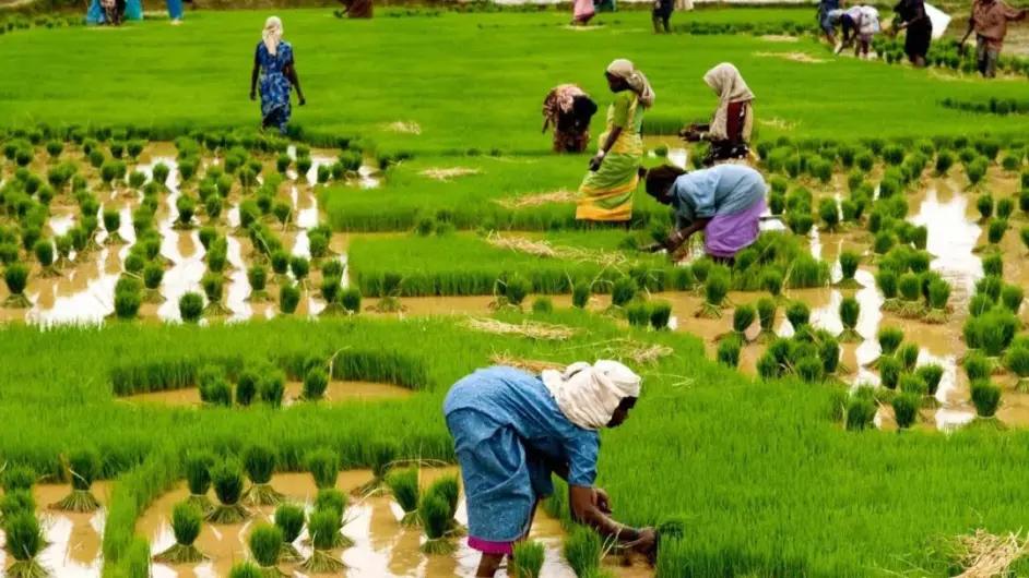 温铁军黄平戴锦华刘健芝：怎样的全球化？