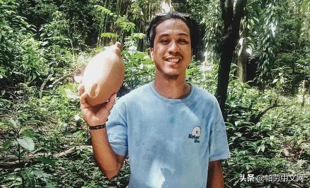 帕劳旅行水母湖,帕劳水母湖海岛