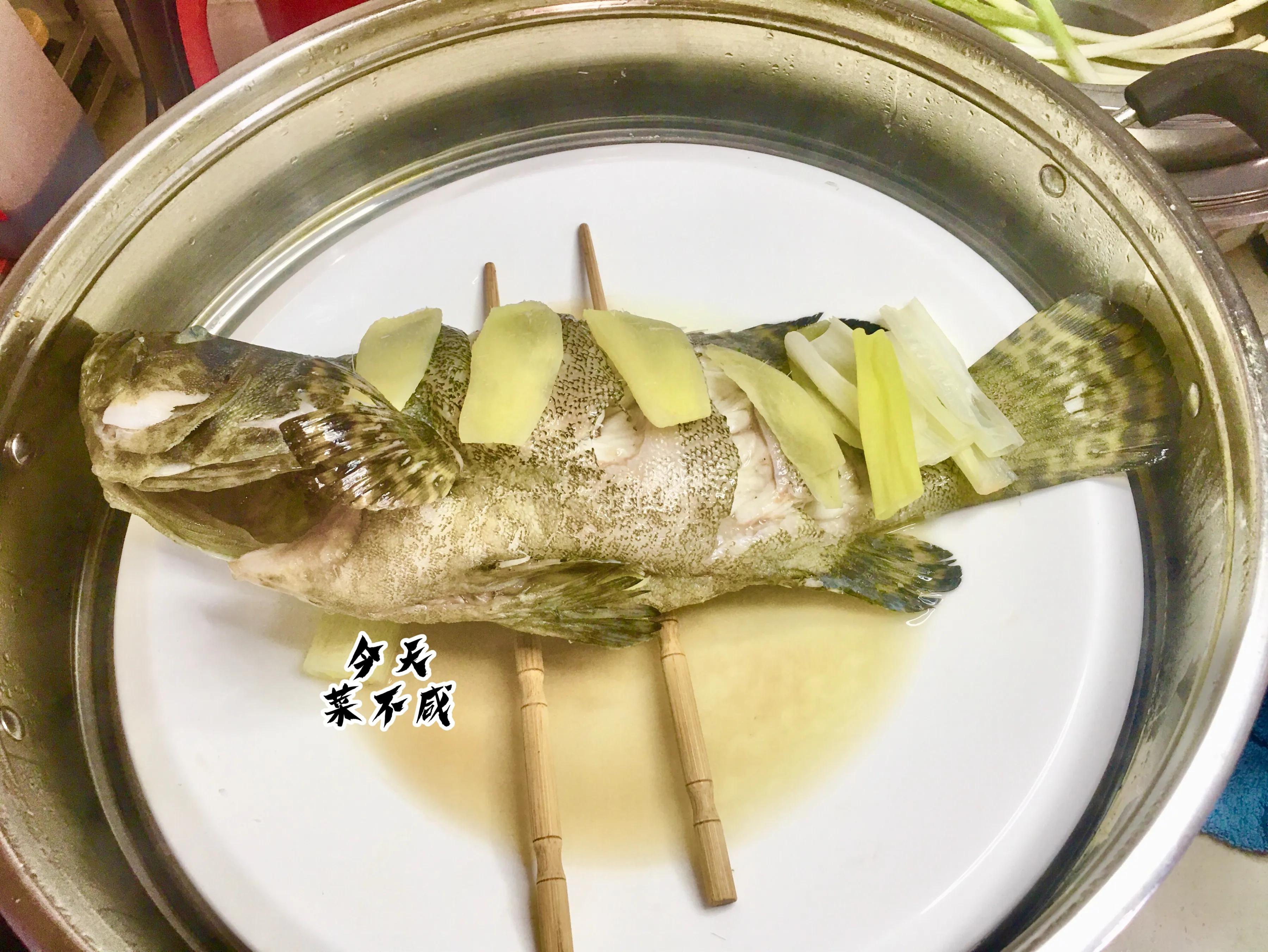 石斑鱼先倒蒸鱼豉油还是先泼油,清蒸鱼石斑鱼放什么调料