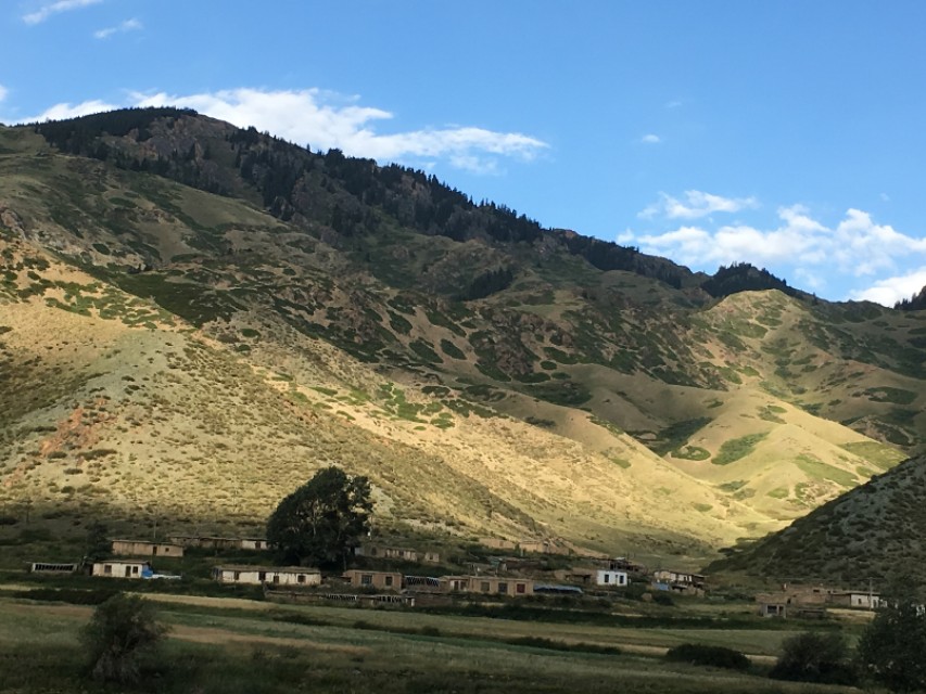 “*疆新**比任何地方安全”一文阅读者众,诸多回复让我流泪