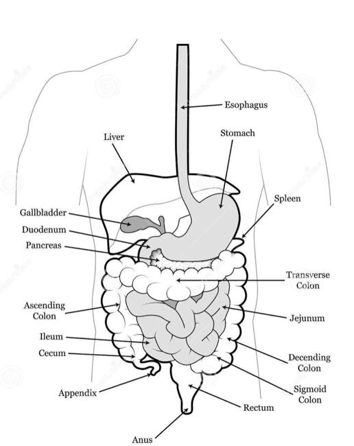 顽固性腰痛怎么治愈,困扰多年的腰疼问题终于搞清楚了