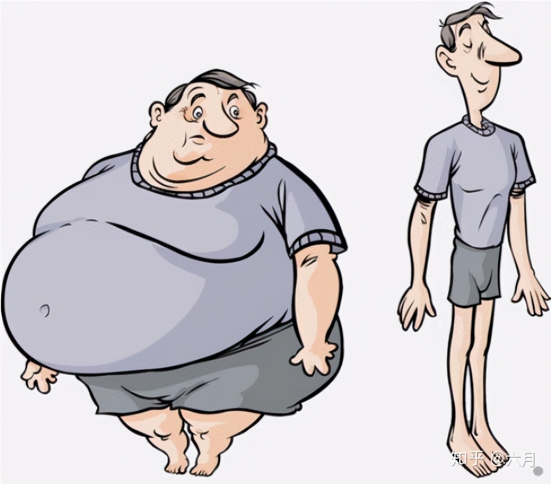 有氨纶成分的服装要贵一些吗,氨纶越多衣服是不是越贵