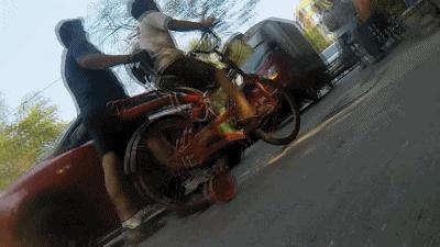 养一只流浪狗的感受,流浪狗的真实内心独白