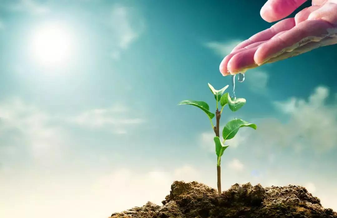 迷茫后最佳选择,迷茫时的三个选择决定了你的高度