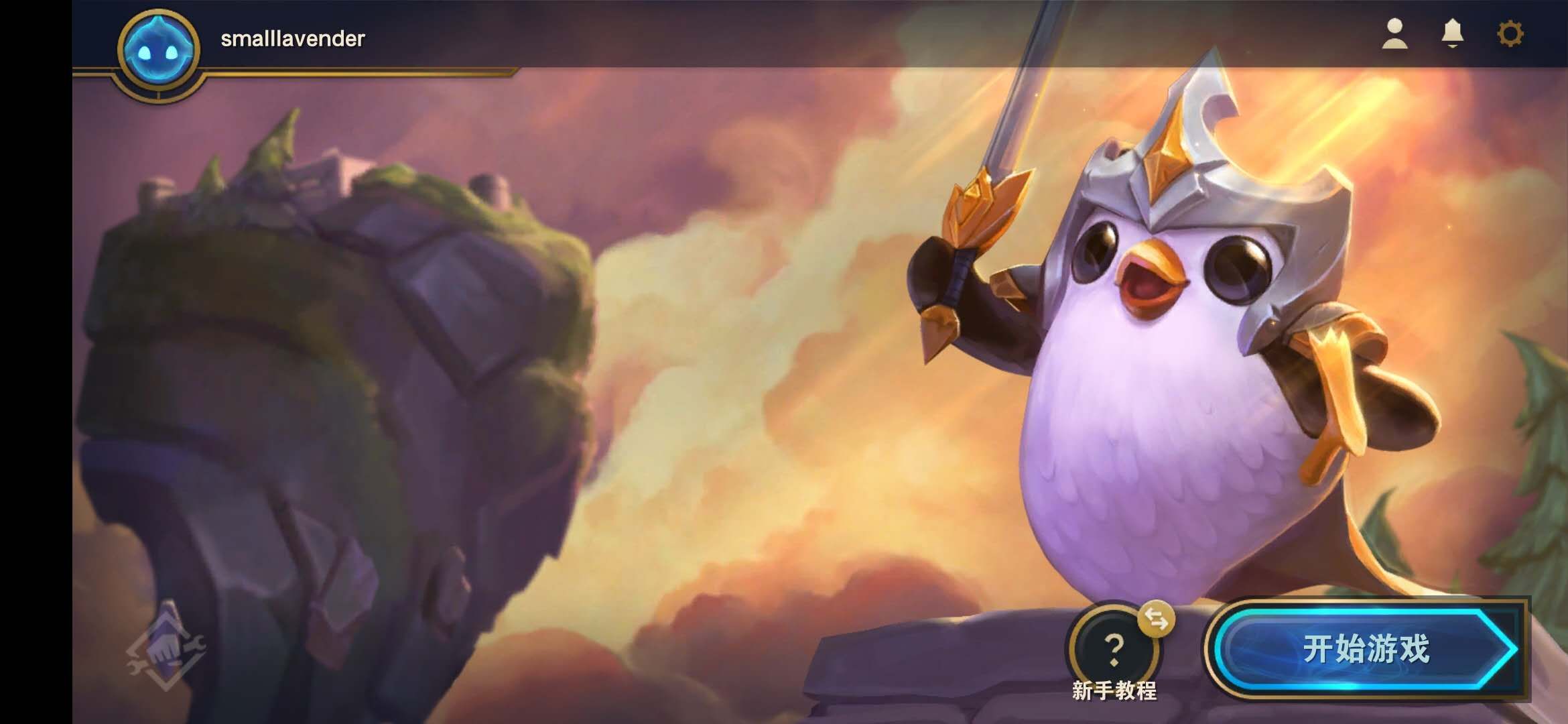 英雄联盟手游云顶之弈注册什么服,英雄联盟云顶之弈手游入手教程