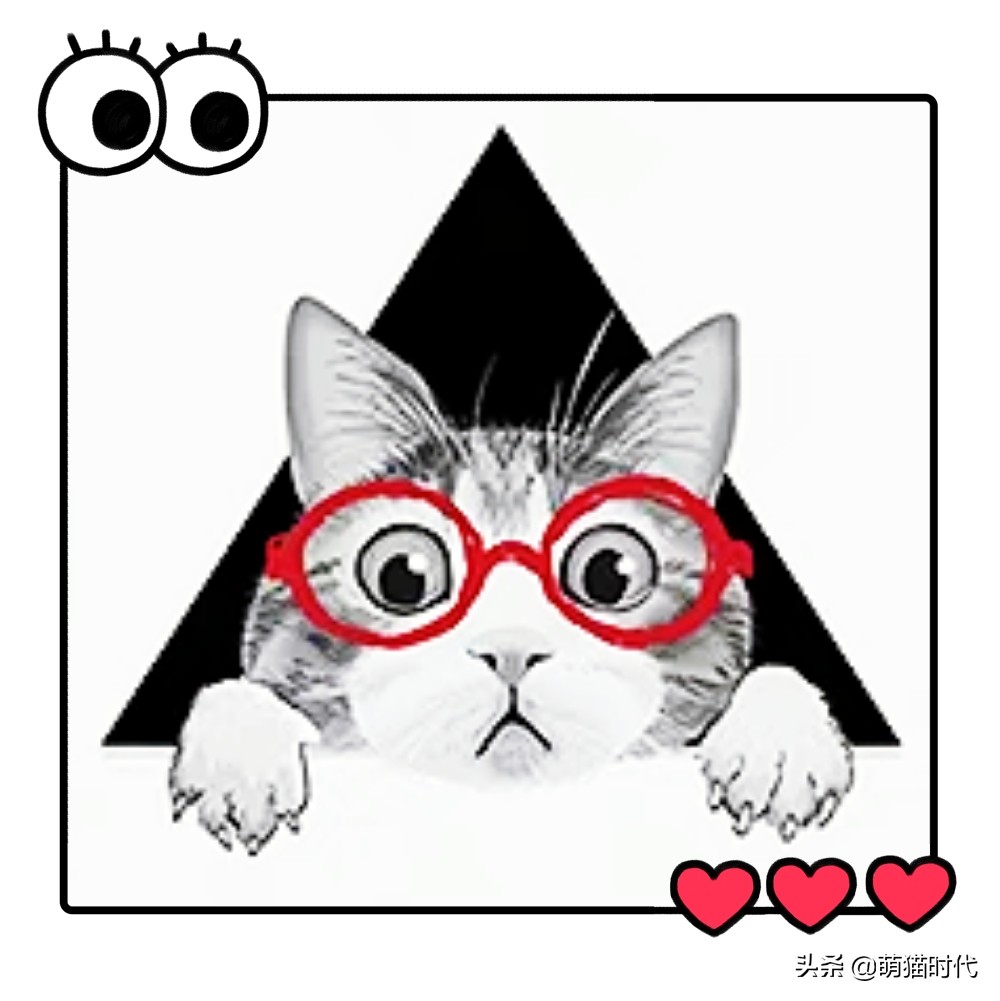 疫情猫咪被困,疫情猫咪困在家里死亡