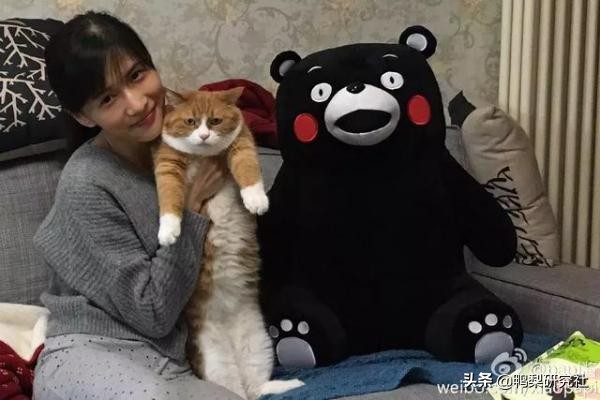 papi酱有些人一谈恋爱就让人讨厌,papi酱的婚姻观自私吗