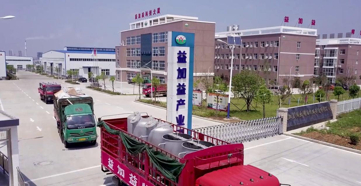 新型全自动大型榨油机全套,小型商用榨油机现榨现卖