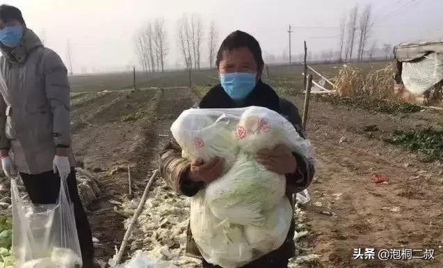 有啥捐啥！继「硬核河南」后，河南人把“厚道河南”做到了极致