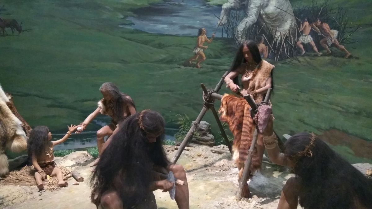 阴毛、腋毛和头发，人类在进化中为何保留了这几个部位的毛发？