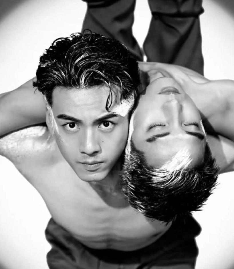 披荆斩棘的哥哥学历大揭秘,披荆斩棘30位哥哥的履历