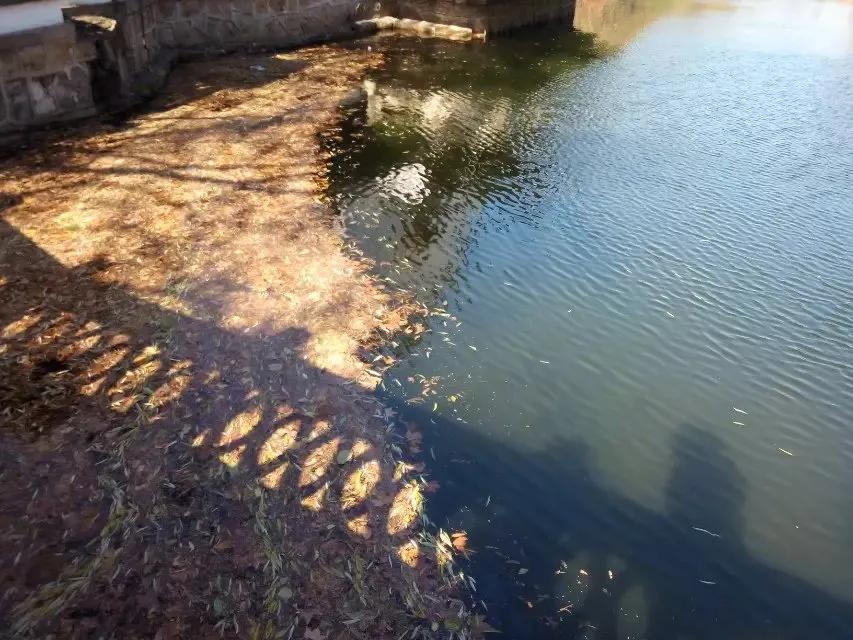 鲁讯公园的湛蓝色天空