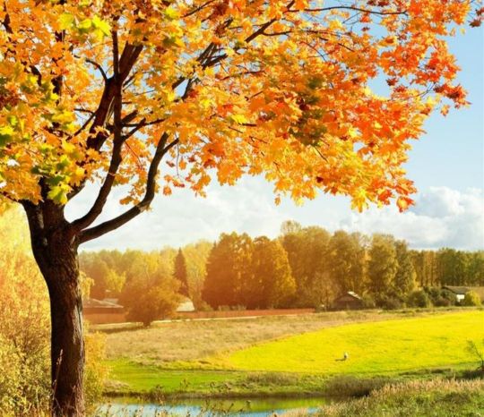 濡堝鐨勭溂鐫涘湪鍝噷,濡堝鐨勭溂闀滀笉瑙佷簡