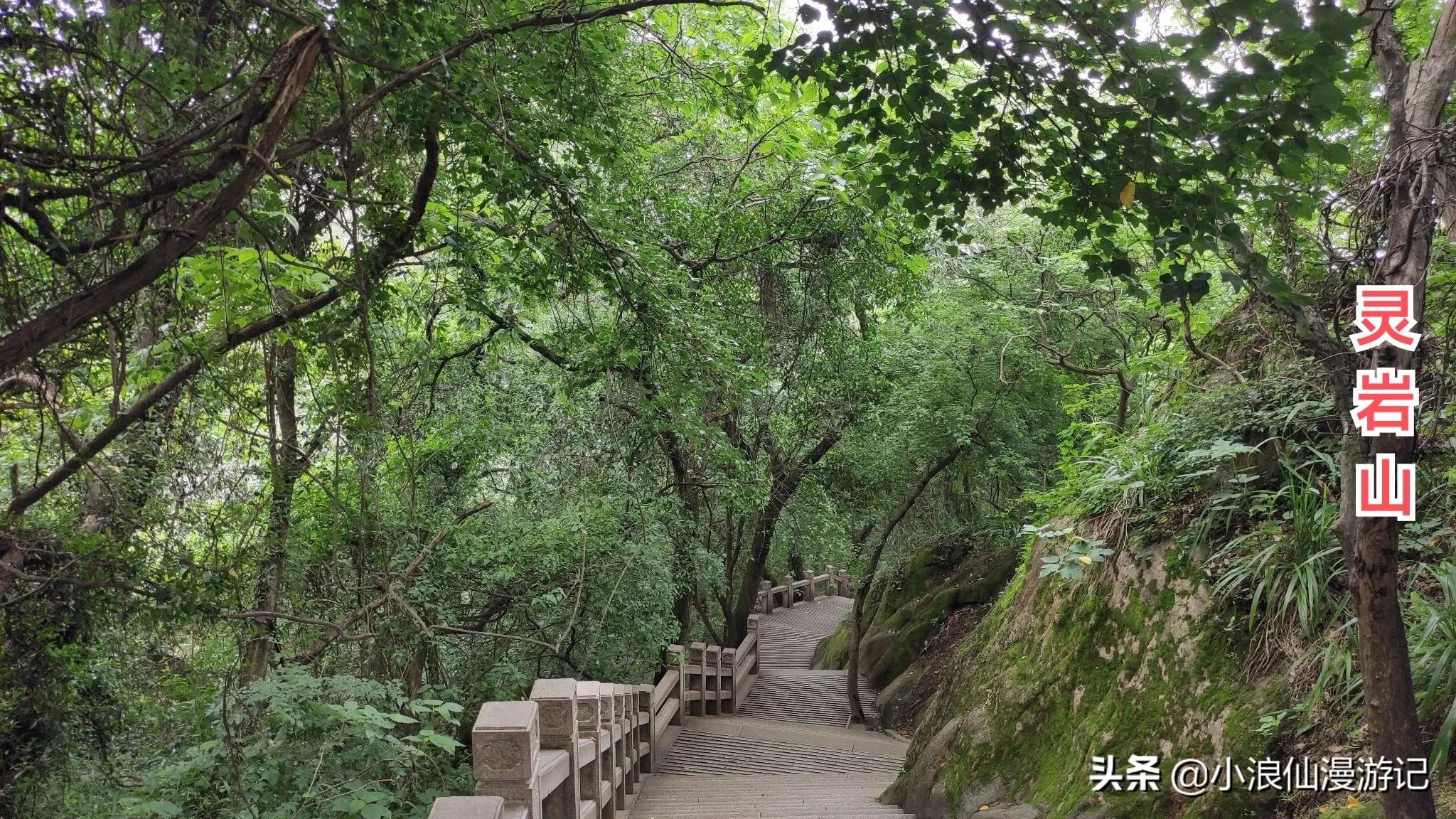 苏州免费景点排名榜前十名,苏州60岁免费景点大全