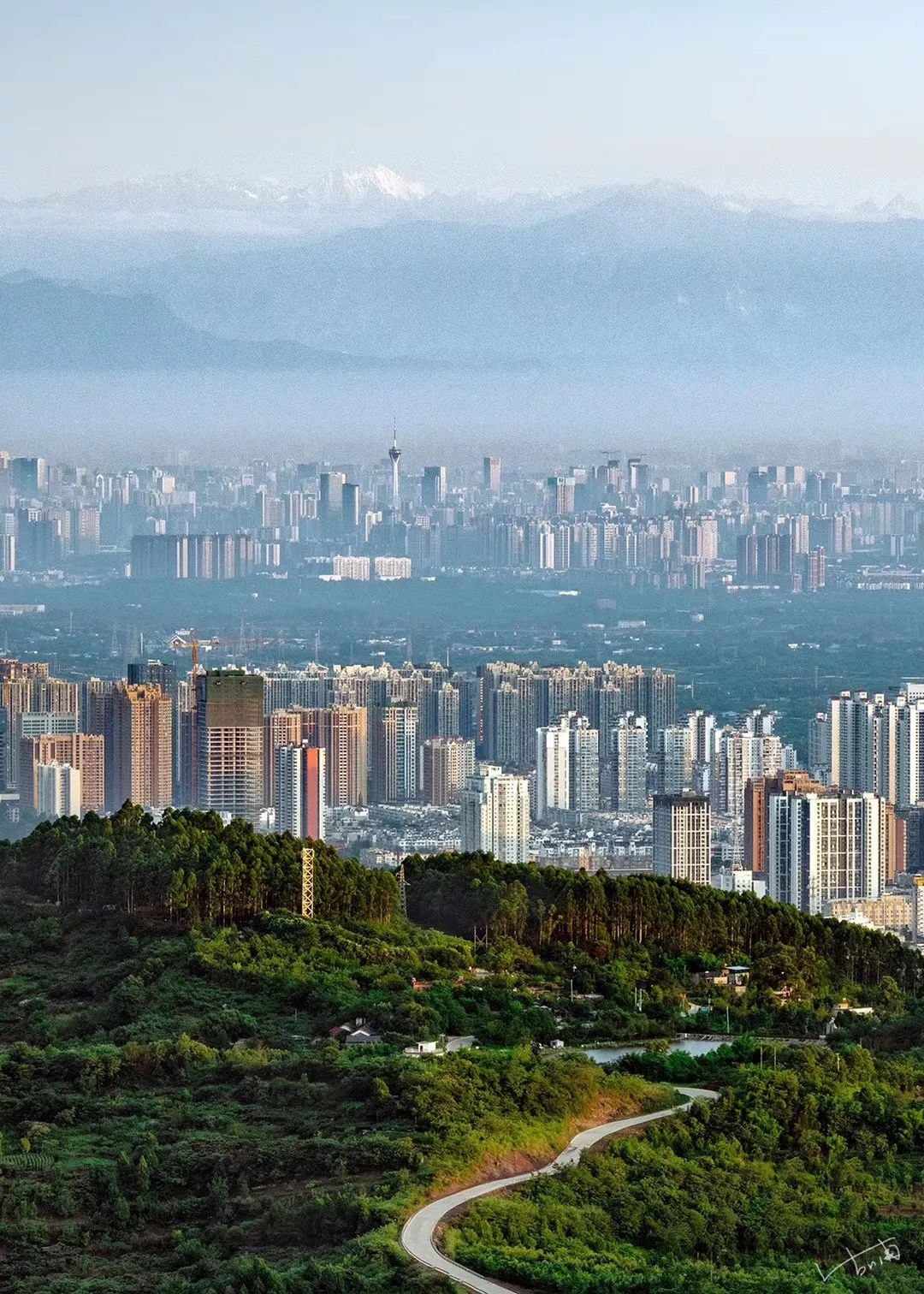 成都年轻人都是什么工作,成都基本都是川a吗