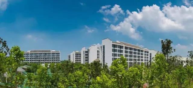 安徽一职高宿舍三人考取安师大,安徽一高校学霸寝室集体考研上岸