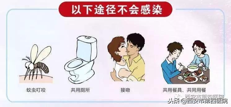 艾滋病常识让你不再恐艾,简述艾滋病的十条基本知识