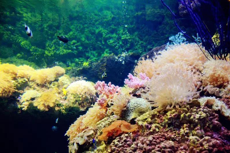 大连四星级景区现状,大连景区什么时候恢复开放