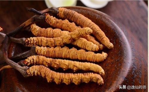 含有冬虫夏草的养肺中成药,含有冬虫夏草的中成药如何鉴别