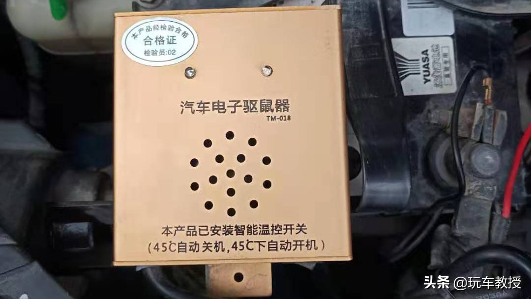 老鼠能钻进汽车驾驶室吗,如果老鼠进家里要怎么办