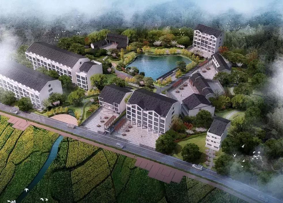 选美啦！这19条乡村振兴示范带亮规划比颜值看看它们怎样扮靓温州