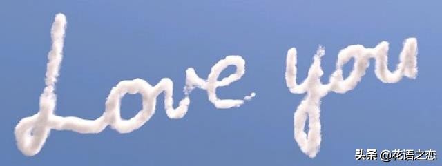 绿安娜菊花花语,小青菊花花语