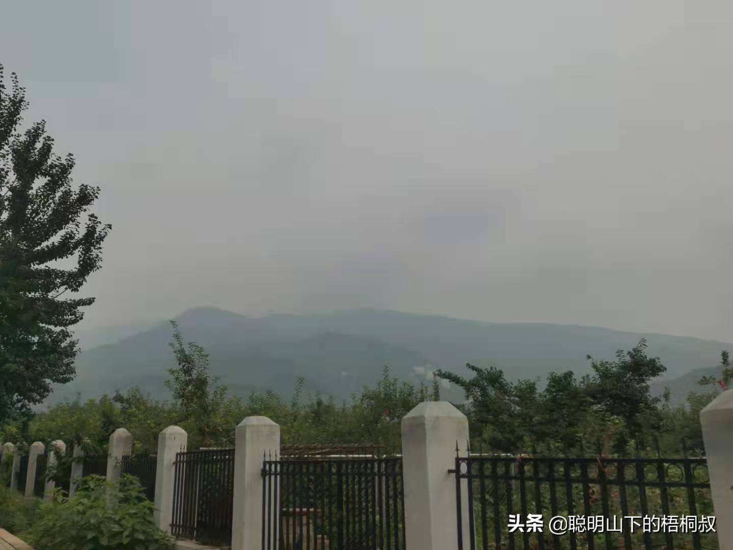 蟒山国家森林公园自由行攻略,北京蟒山森林公园游玩攻略