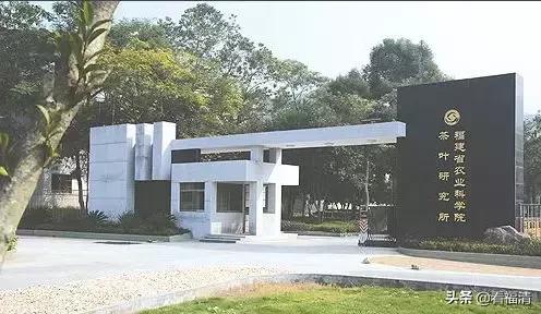 鍘夊浜嗙寤虹渷,鍘夊浜嗙渷绾х櫨寮轰腑蹇冮晣