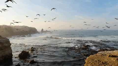 豆瓣2.5分神作,豆瓣9.5分的神作不该如此小众