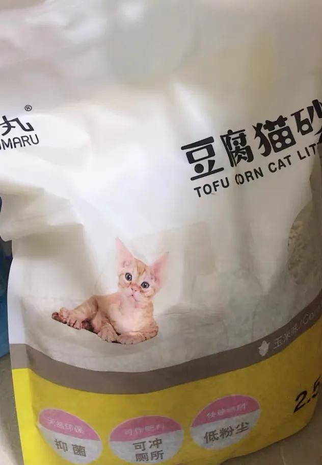 养猫新手入门猫砂,猫砂评价无粉尘