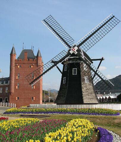 荷兰足球凋零,荷兰足球新一代崛起