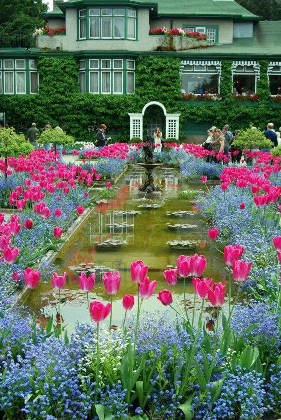 布查德花园的秋冬季,全球最美花园布查特花园